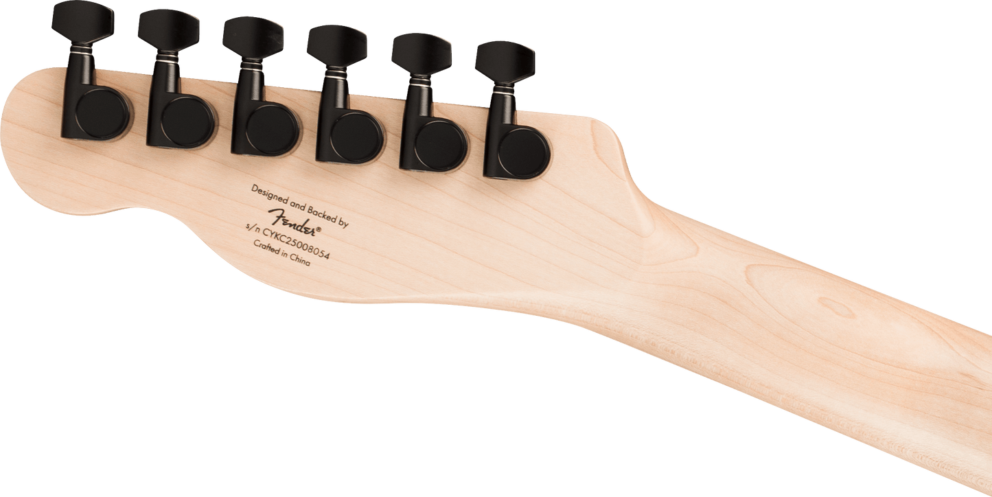 Limited Edition Affinity Series® Telecaster®, Metallic Black
